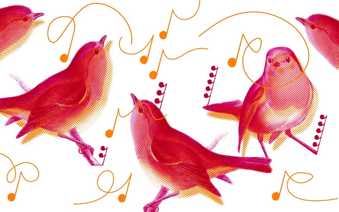 Festival di Natale del Centro di Musica Antica – Rivedi tutti gli appuntamenti