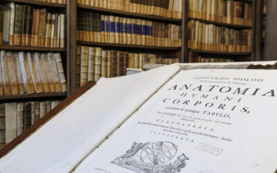 Anatomia Humani Corporis