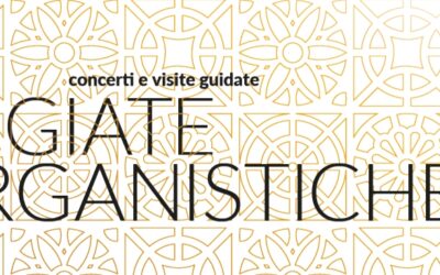 Bando per la selezione di un giovane organista da inserire nella prossima rassegna di Passeggiate Organistiche