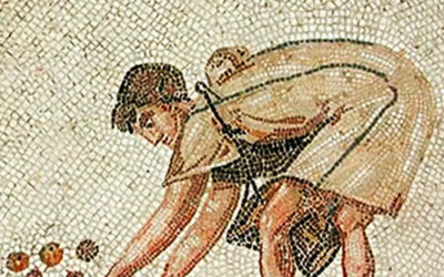 Bando CEDANT per 15 giovani studiosi italiani o stranieri