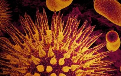 Formazione in Ambito Biomedico, iscrizioni al corso